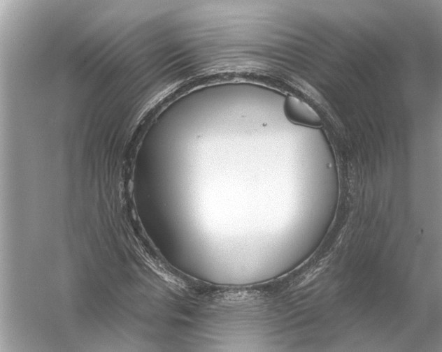 X0000056000826200509162315