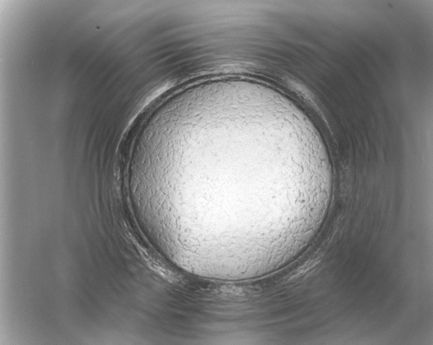 X0000056000827200509162315