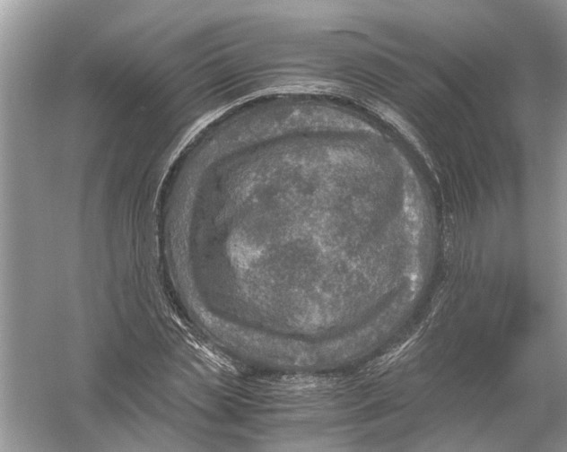 X0000056000829200509162315