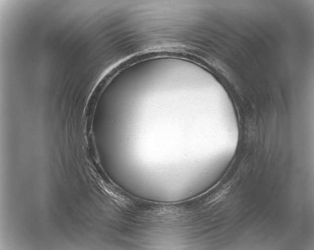 X0000056000830200509162315