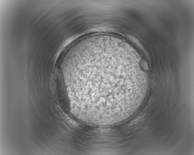 X0000056000831200509162315