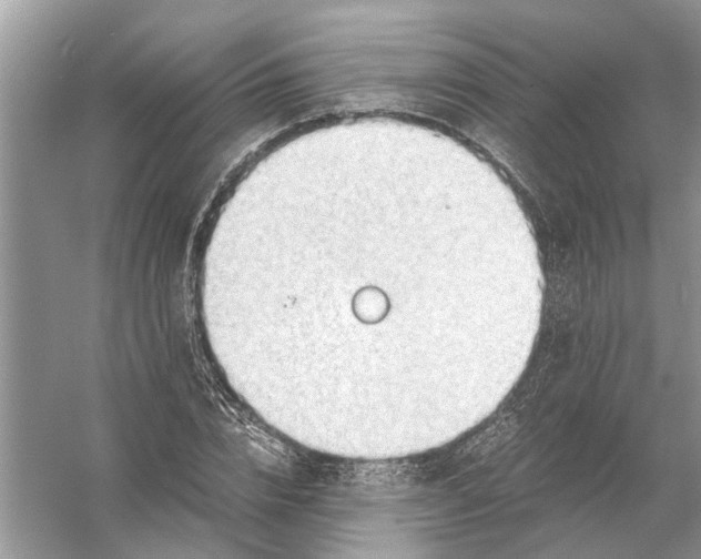 X0000056000832200509162315