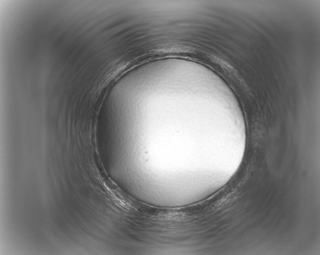 X0000056000833200509162315