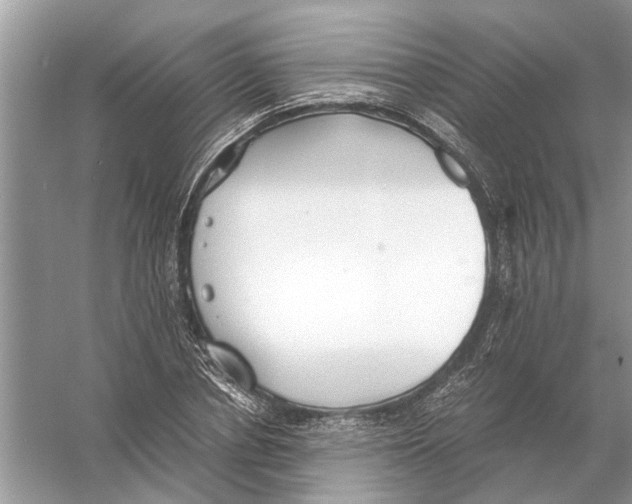 X0000056000834200509162315