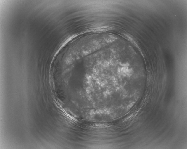 X0000056000835200509162315