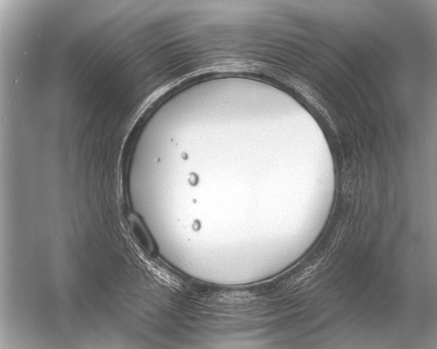 X0000056000837200509162315