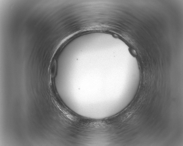 X0000056000838200509162315