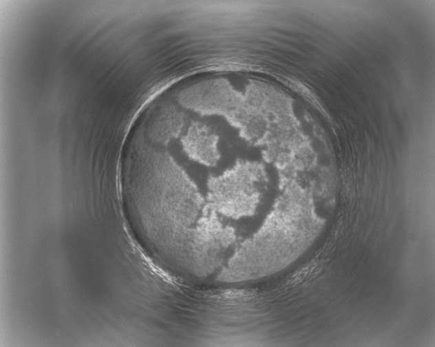 X0000056000839200509162315