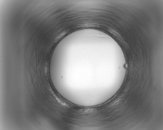 X0000056000841200509162316