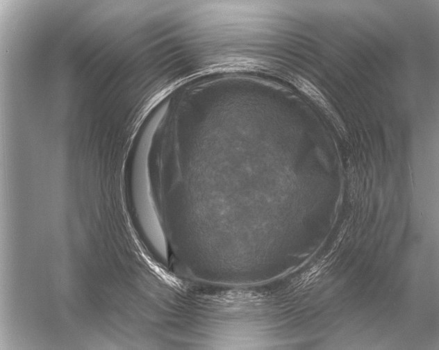 X0000056000842200509162316