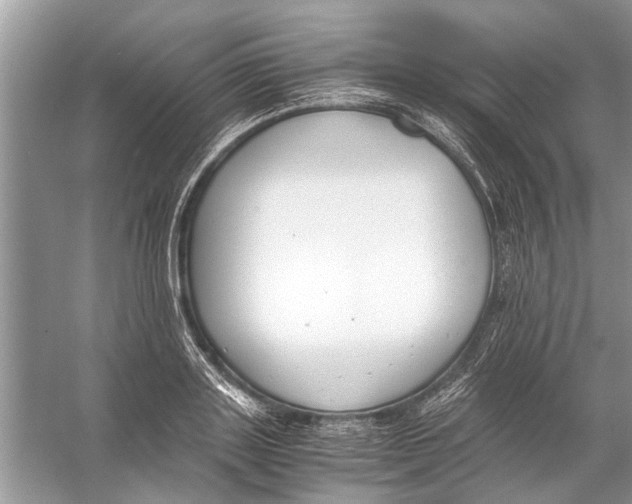 X0000056000843200509162316