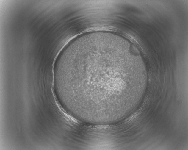 X0000056000844200509162316