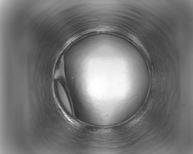 X0000056000845200509162316