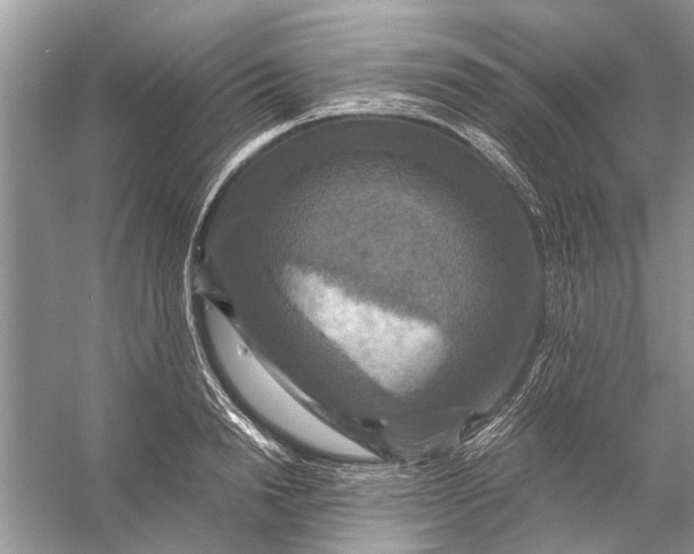 X0000056000846200509162316