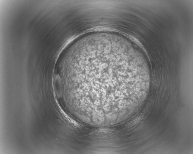 X0000056000847200509162316