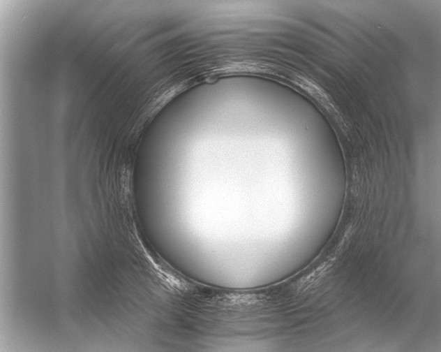 X0000056000849200509162316