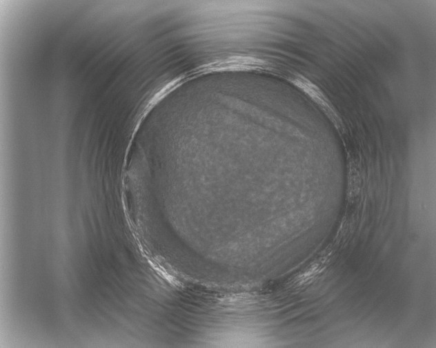 X0000056000850200509162316