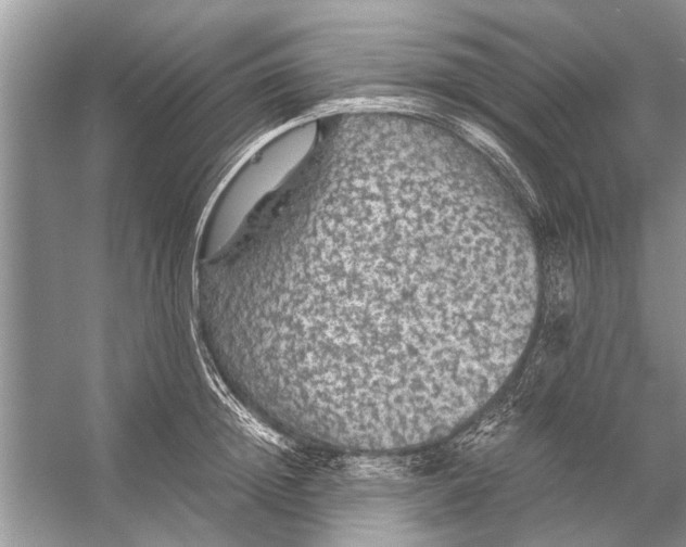 X0000056000852200509162316