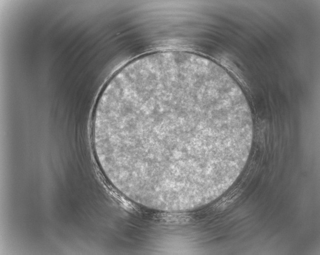 X0000056000856200509162316