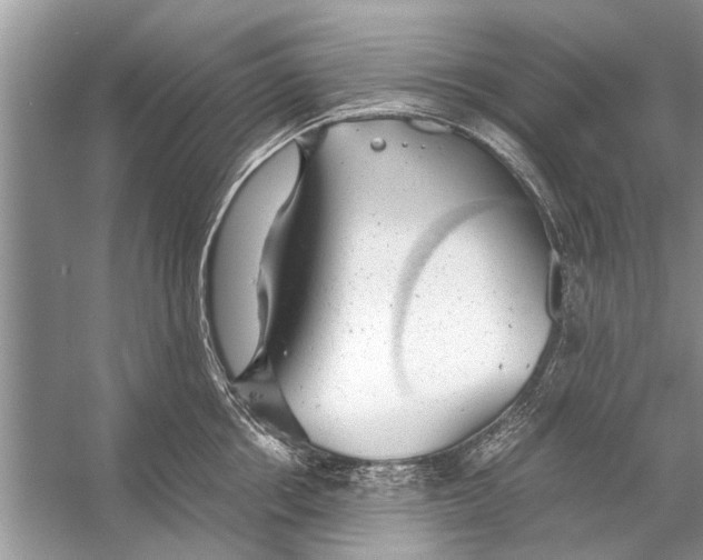 X0000056000858200509162316