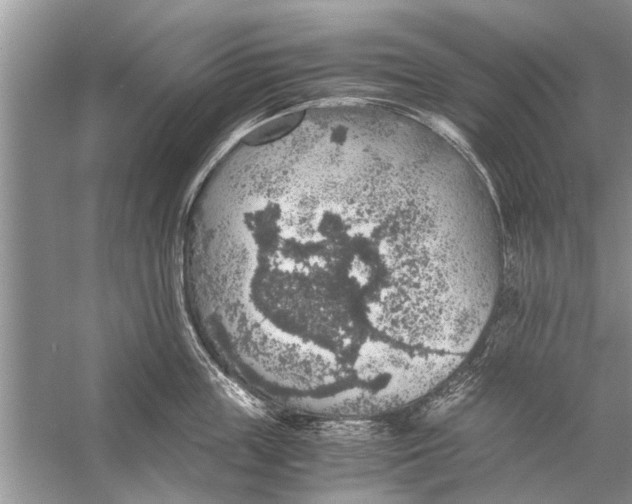 X0000056000859200509162316