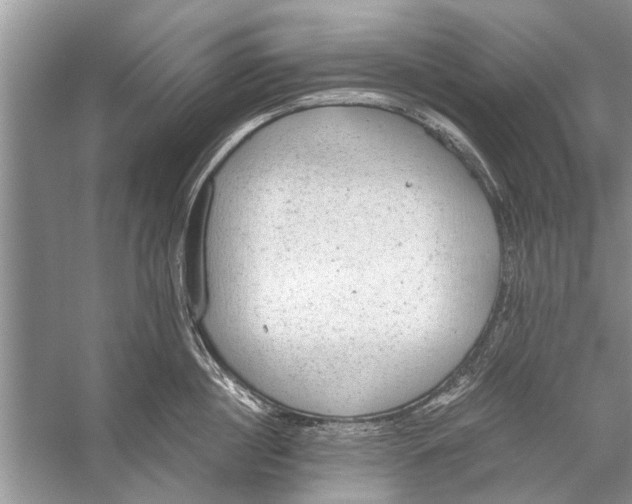 X0000056000860200509162316