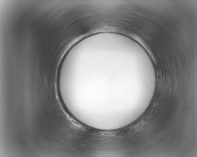 X0000056000861200509162316