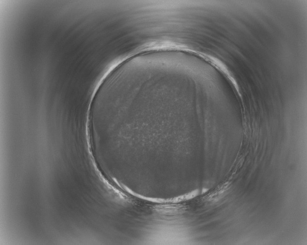 X0000056000863200509162316