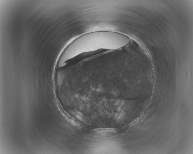 X0000056000864200509162316