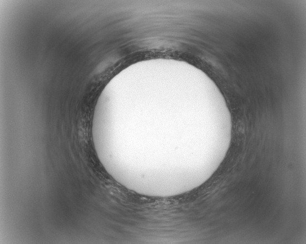 X0000056000869200509162315