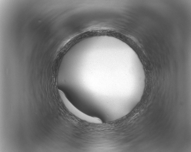 X0000056000871200509162315