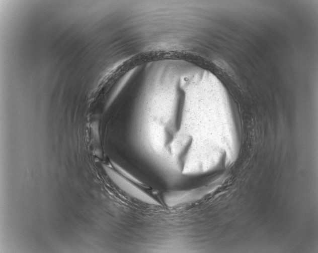 X0000056000872200509162315