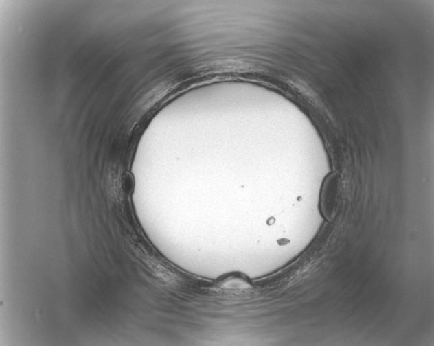 X0000056000873200509162315