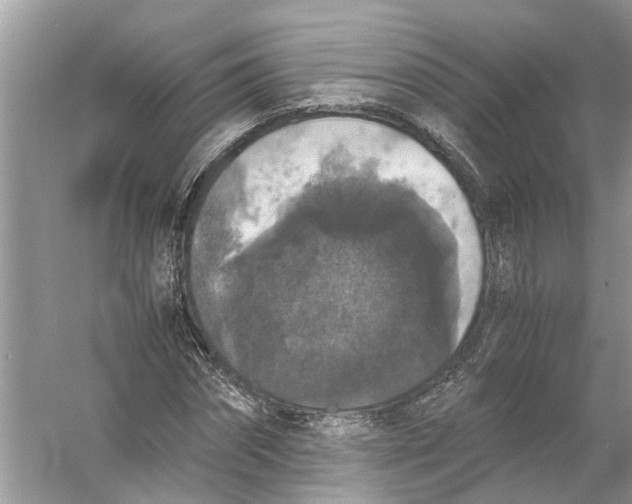 X0000056000874200509162315