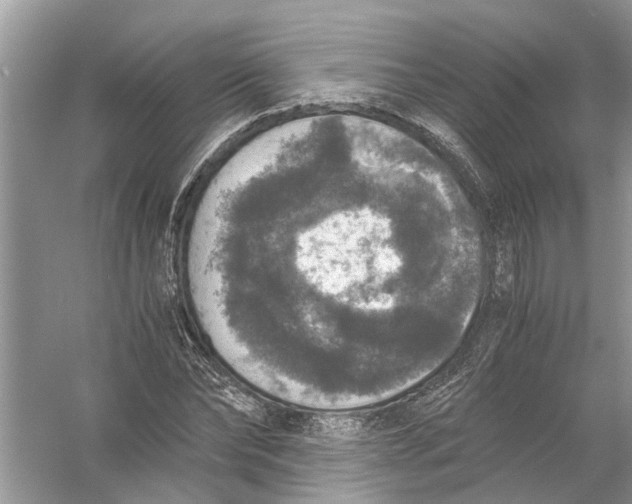 X0000056000878200509162315