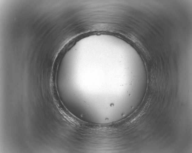 X0000056000880200509162315