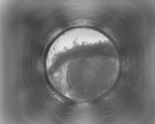 X0000056000882200509162315