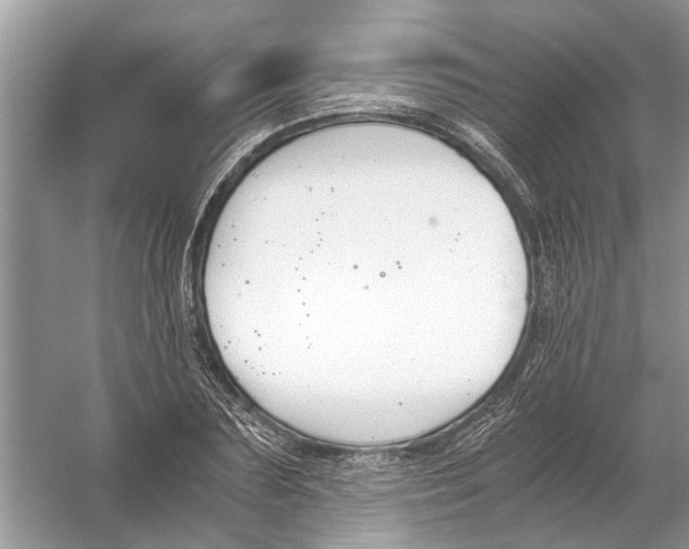 X0000056000883200509162315