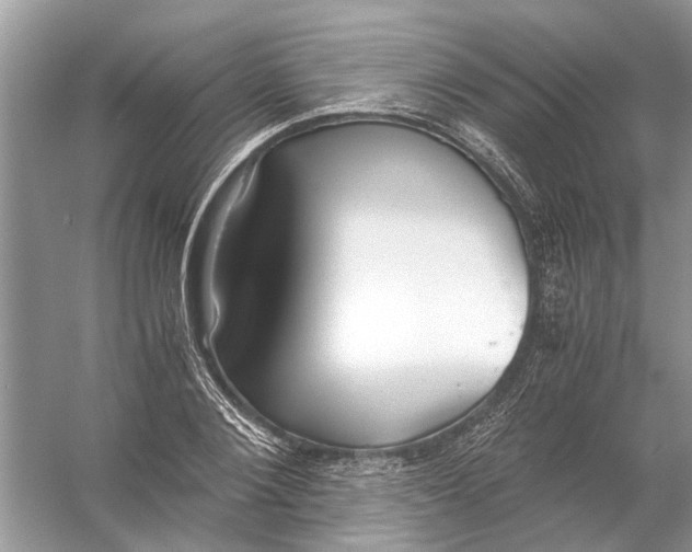 X0000056000884200509162315