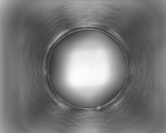 X0000056000885200509162315