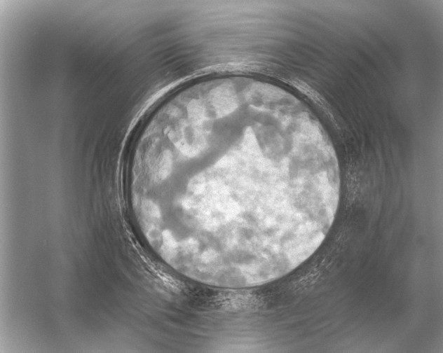 X0000056000886200509162315