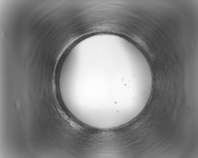 X0000056000888200509162315