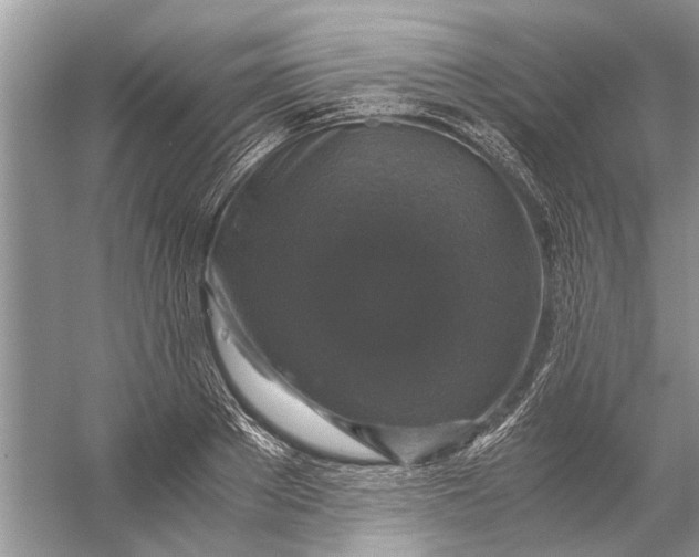 X0000056000889200509162315