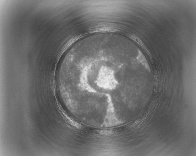 X0000056000890200509162315