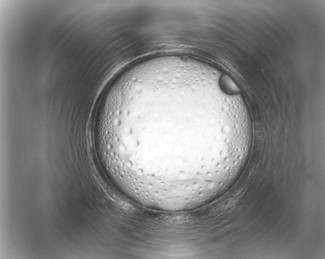 X0000056000891200509162315