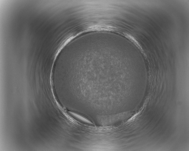 X0000056000893200509162315