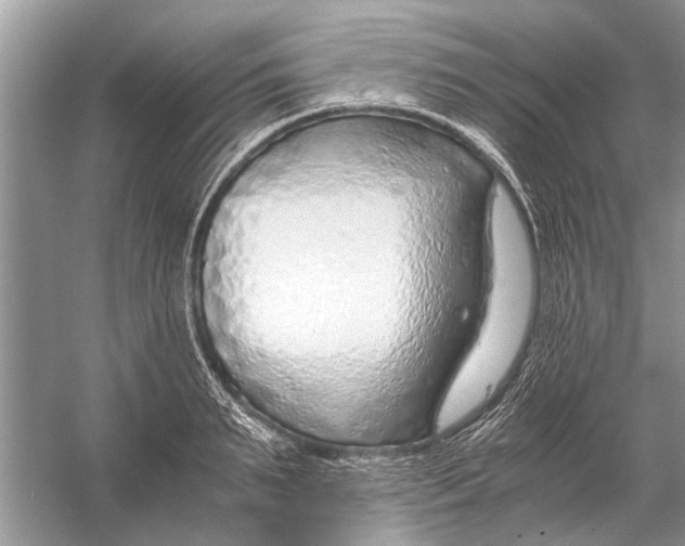 X0000056000895200509162315