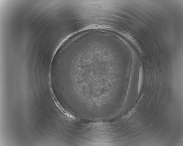 X0000056000896200509162315