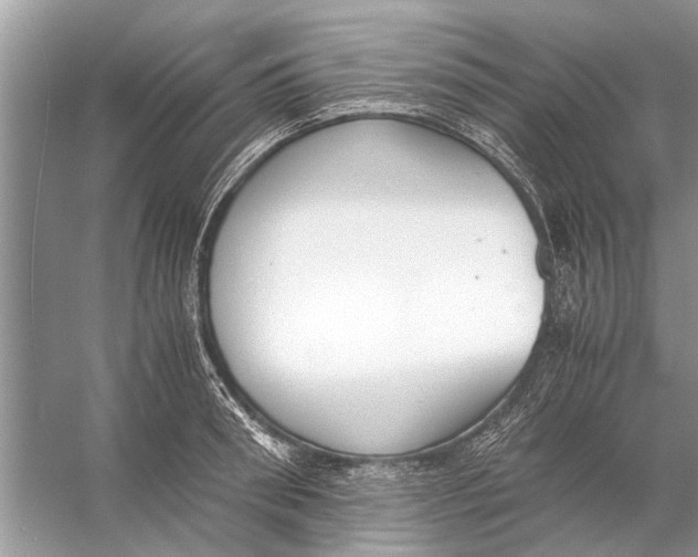 X0000056000898200509162315