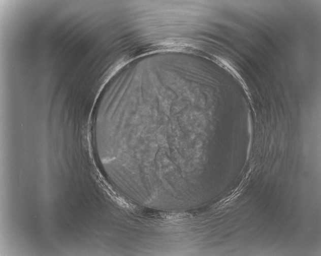 X0000056000899200509162315